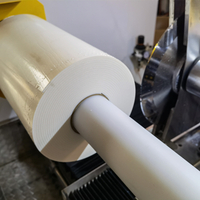 3m Tapes Mylar Kapton Single Shaft Cutting Machine